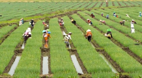 Dampak Positif Dan Negatif Perubahan Sosial Di Bidang Pertanian Lukisan