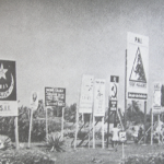 pemilu 1955