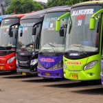 bis mania