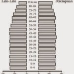 piramida penduduk dewasa