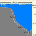zona laut